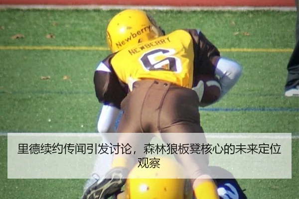 里德续约传闻引发讨论，森林狼板凳核心的未来定位观察